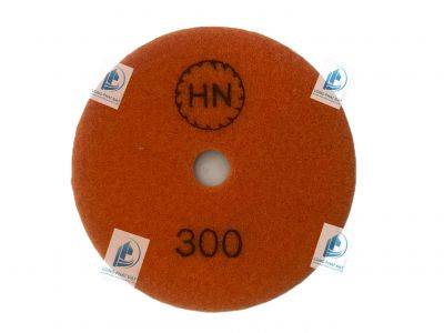 Lá Số HN 300